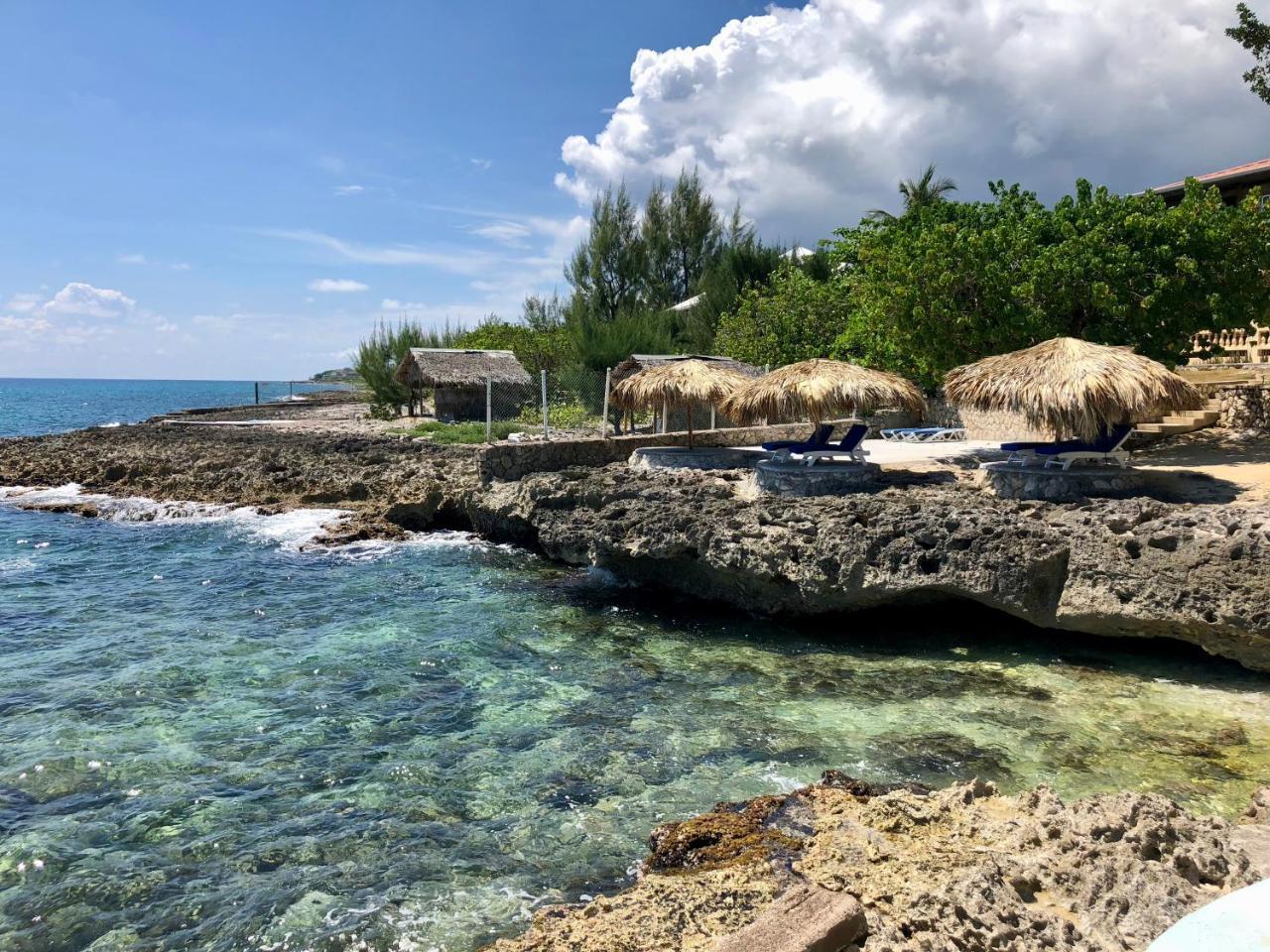 The Westender Negril