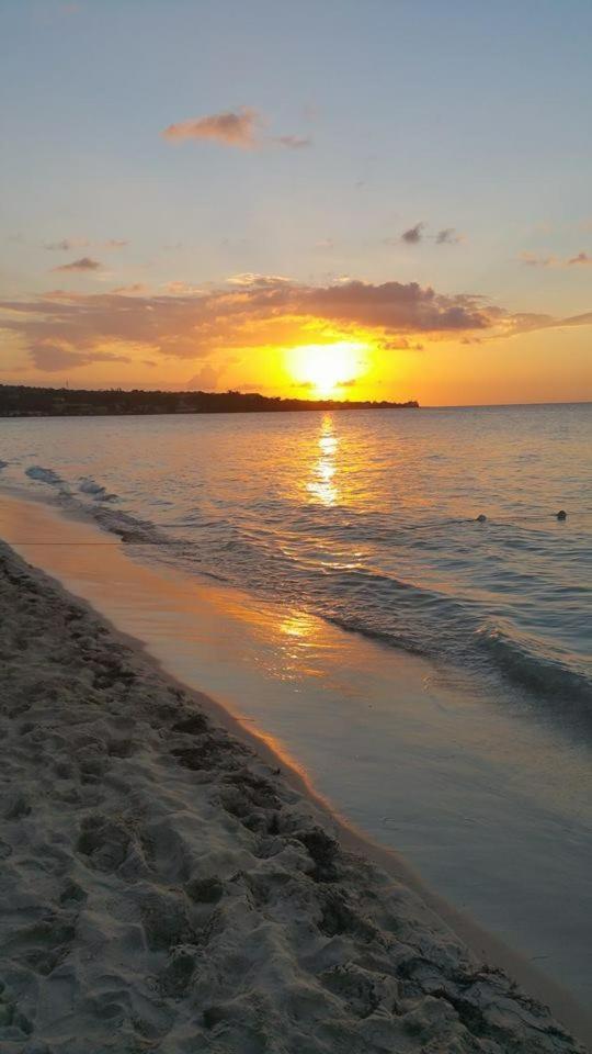 Coral Seas Negril
