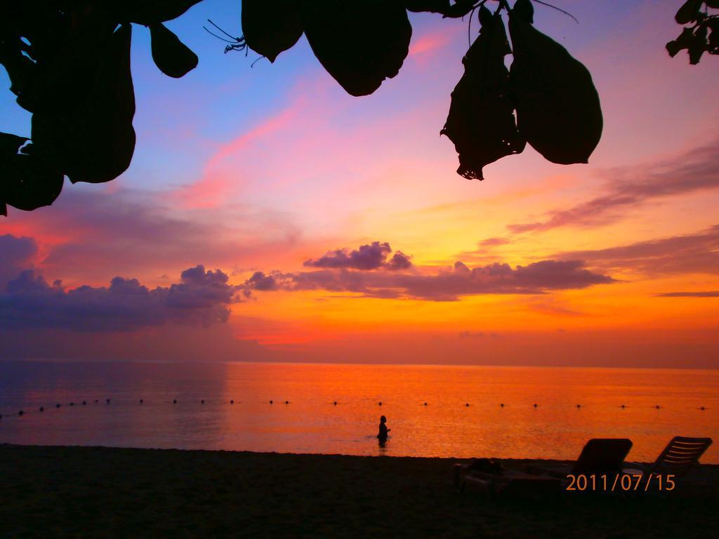 Coral Seas