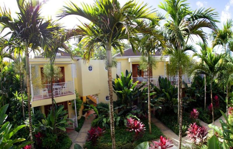 Hotel Palms