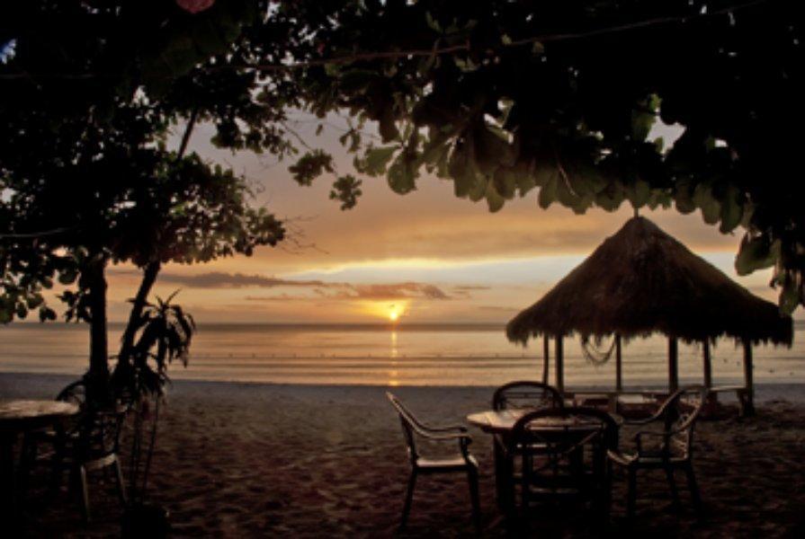 Coral Seas Negril