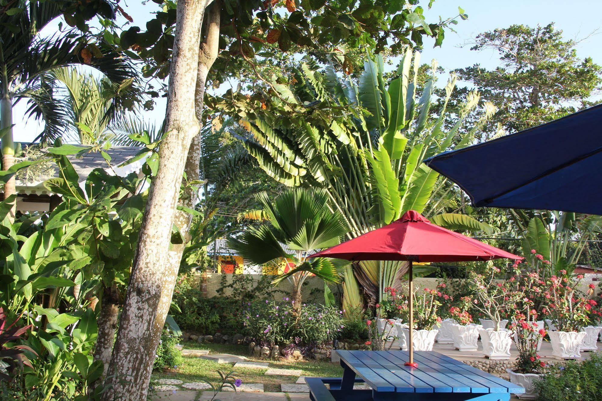 Hotel Palms Negril
