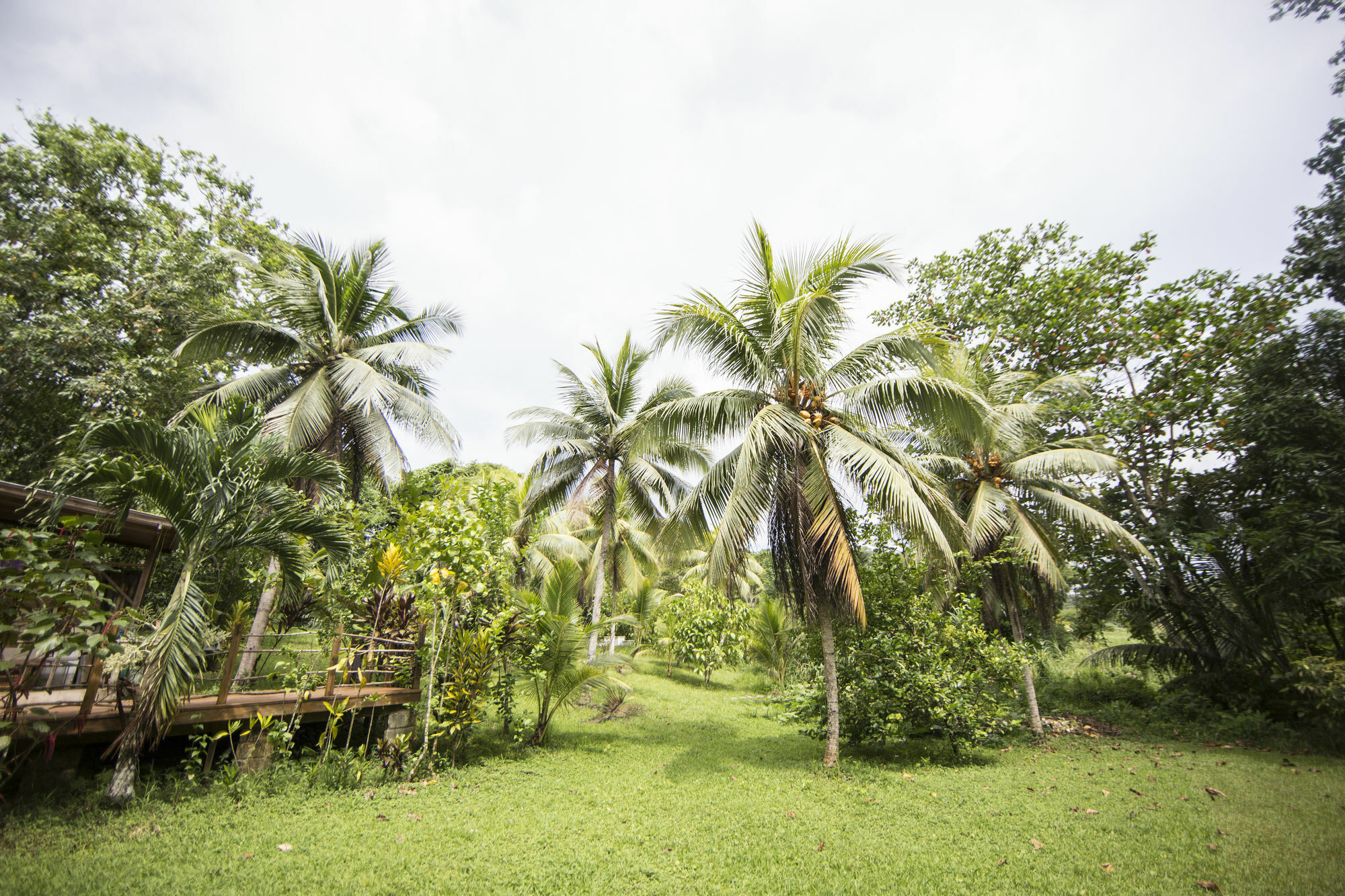 Lodge Zimbali Culinary Retreats Negril