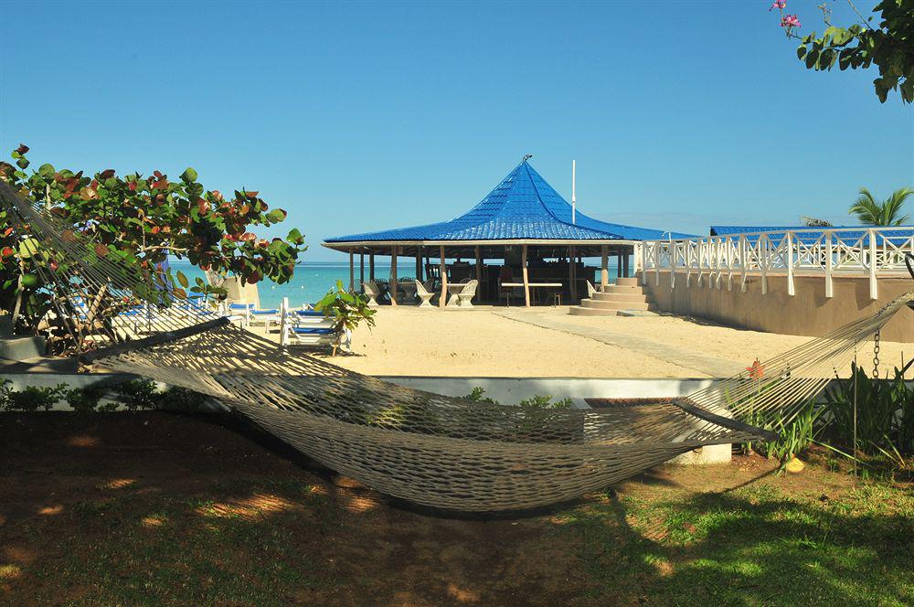 Treehouse 3*