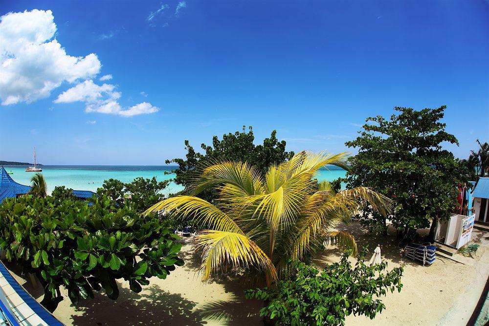 Treehouse Negril