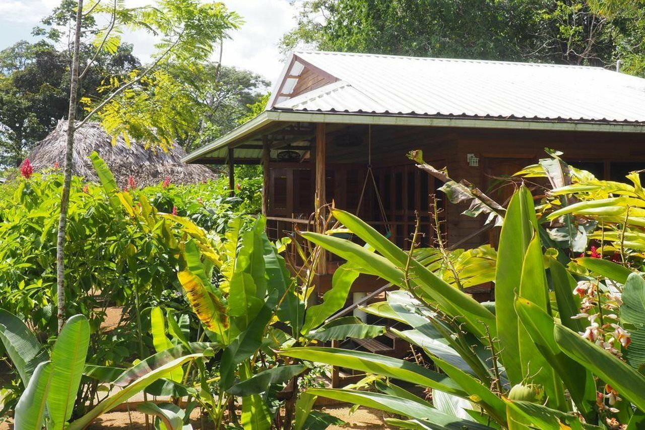 Hotel The Royal Hummingbird 3*