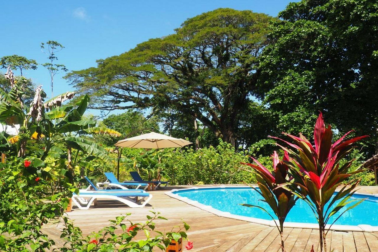Hotel The Royal Hummingbird Negril