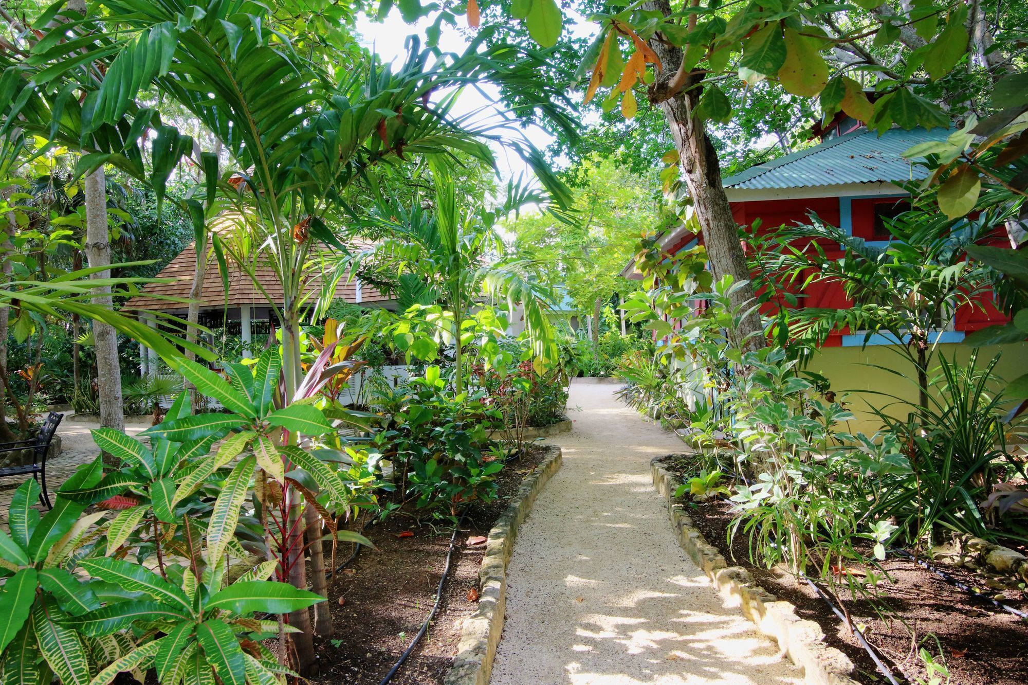 Tingalayas Retreat Negril