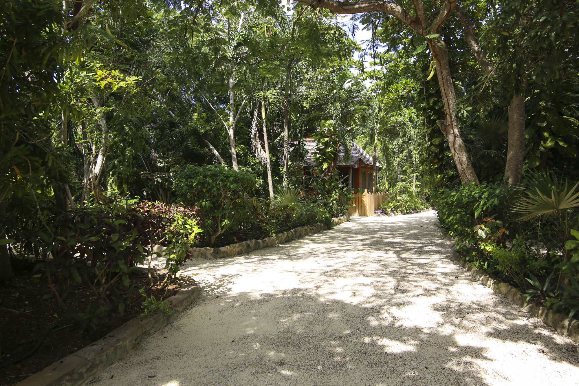 Tingalayas Retreat 3* Negril