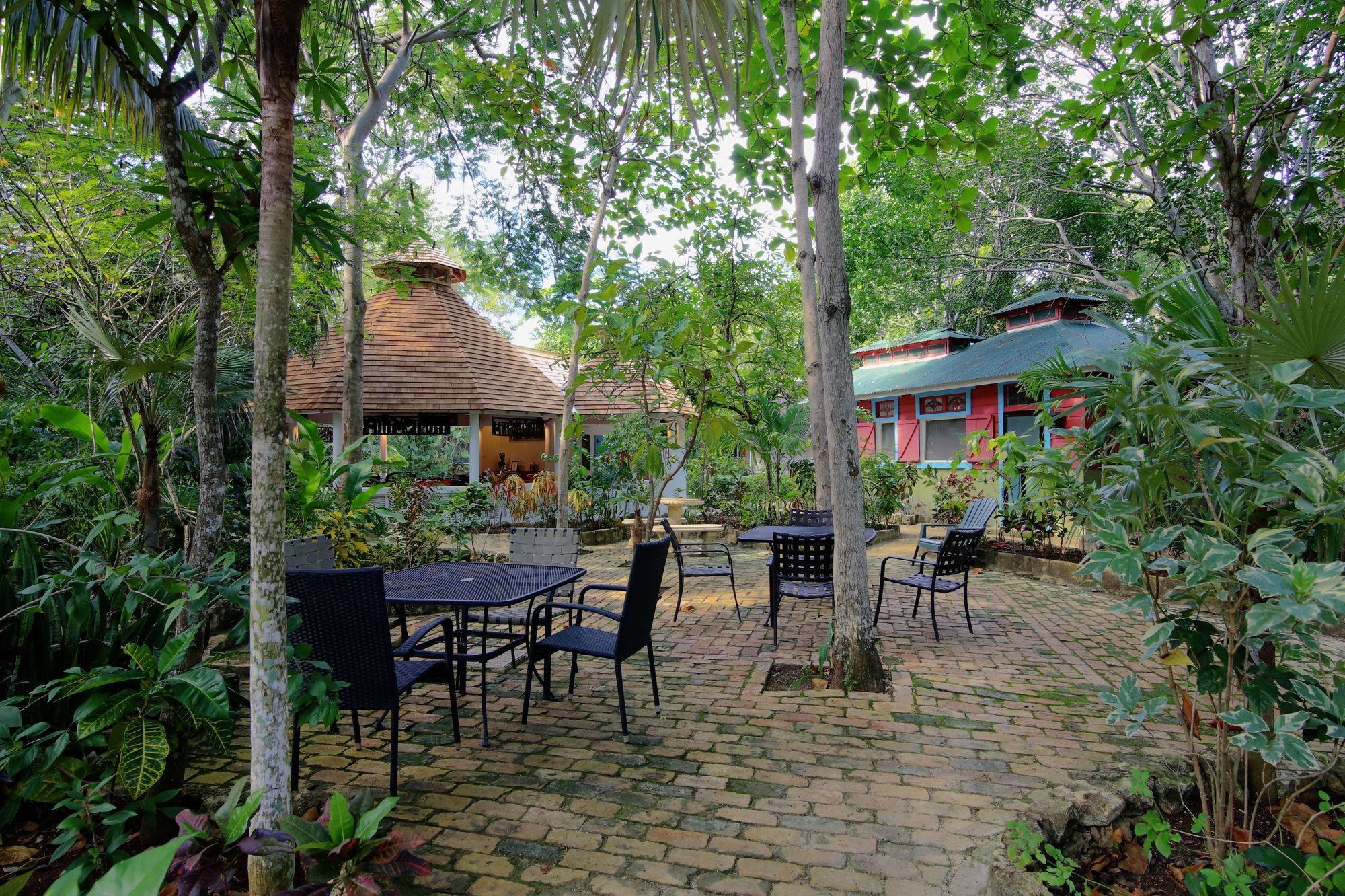 Tingalayas Retreat Negril