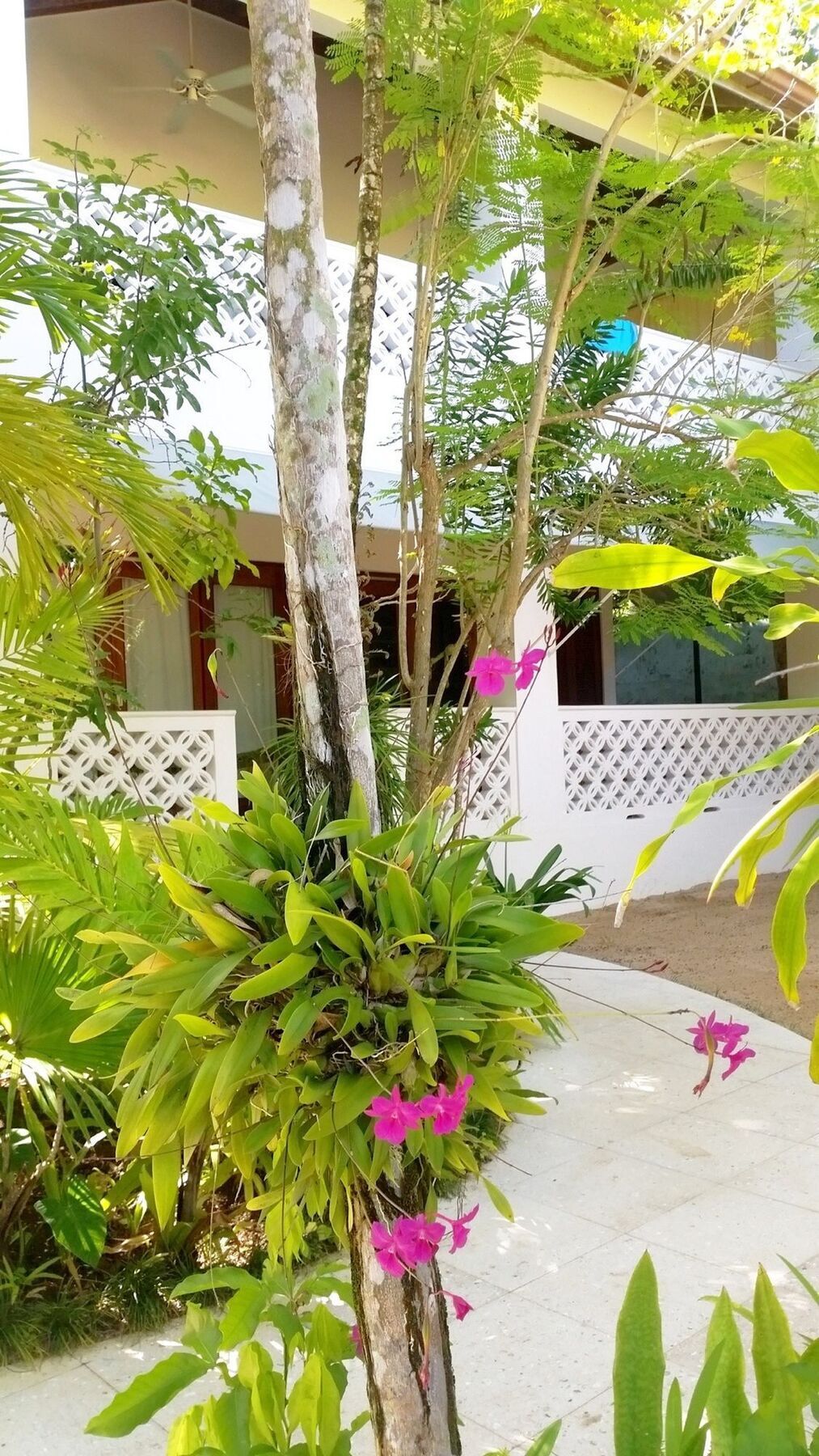 Idle Awhile Negril