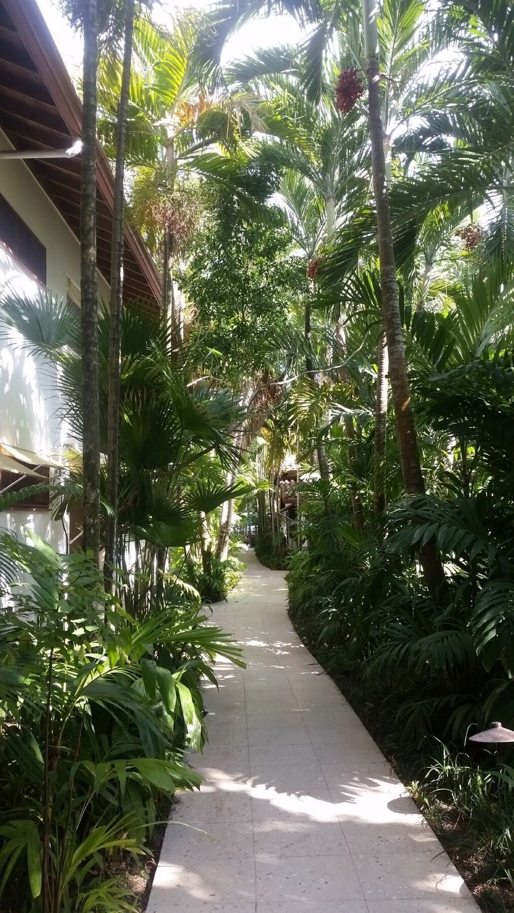 Hotel Idle Awhile Negril