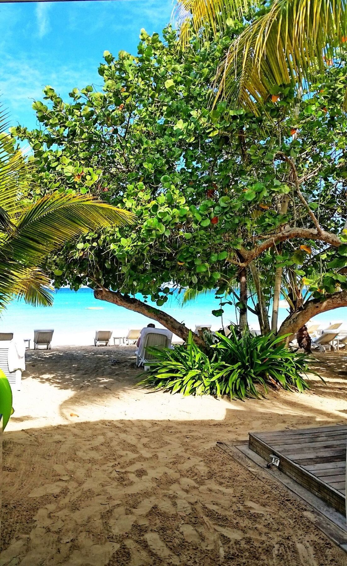Idle Awhile 3* Negril