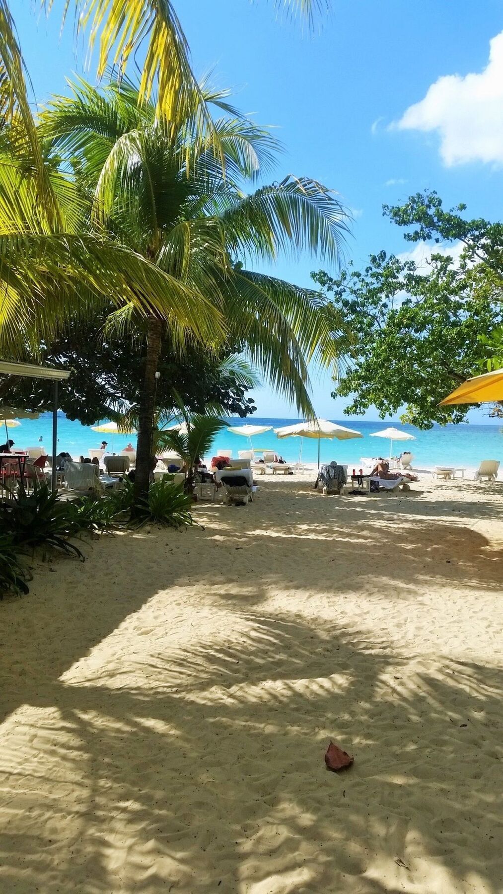 Idle Awhile Hotel 3*