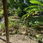 Can Jam Retreat