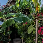 Wild Coffee Retreat
