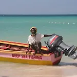 Relax In Paradise, Indikanegril