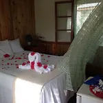 Coral Cove Resort & Spa