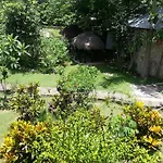 Negril Yoga Centre
