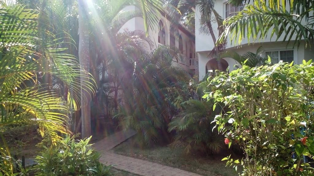 Mariposa Hide-away Hotel 3*