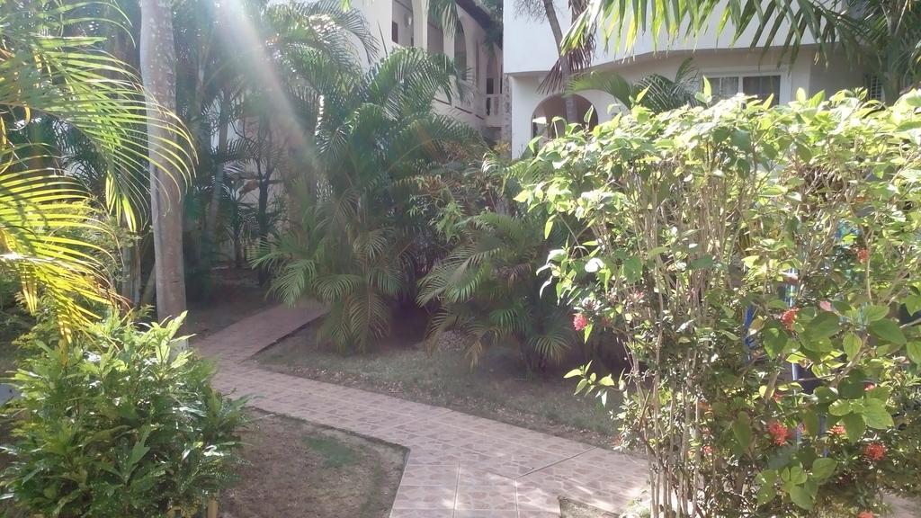 Hotel Mariposa Hide-away Negril
