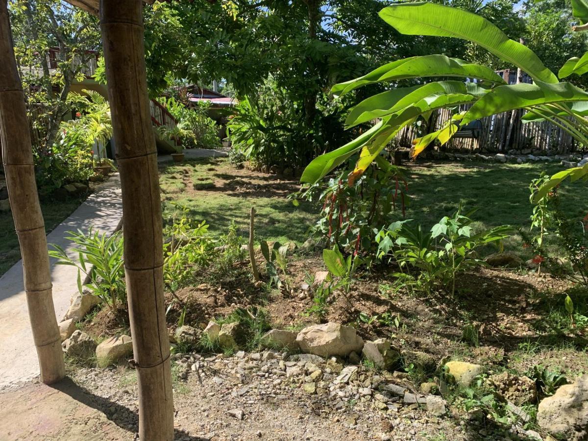 Jam Retreat Negril