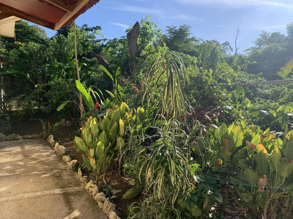 Jam Retreat * Negril