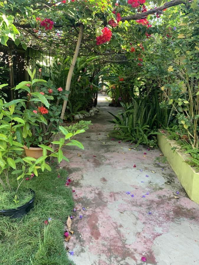 Jam Retreat Bed & Breakfast Negril