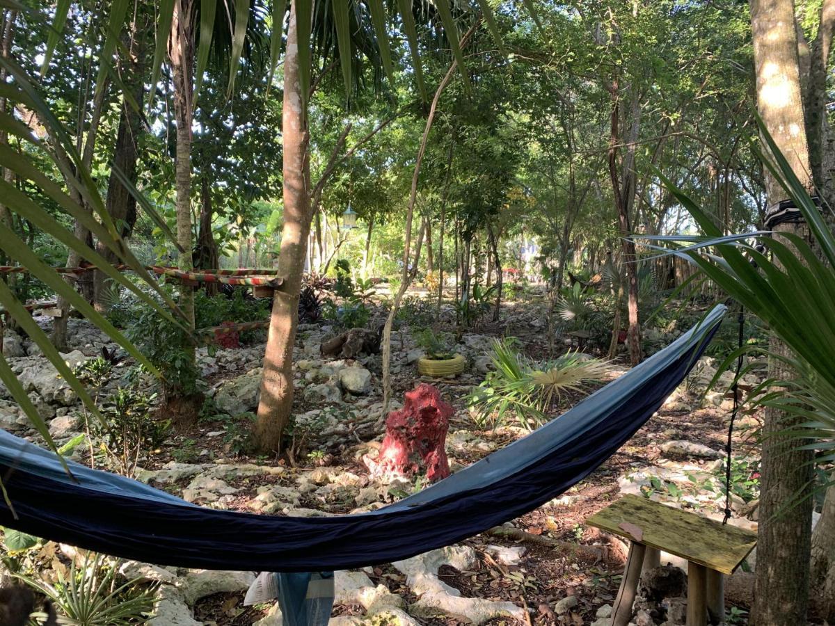 Bed & Breakfast Jam Retreat Negril