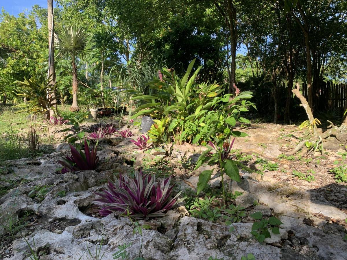 Jam Retreat Negril