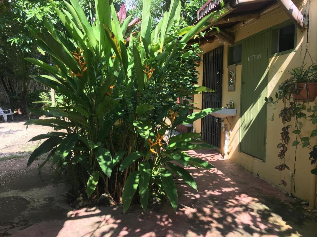 Jam Retreat Bed & Breakfast *