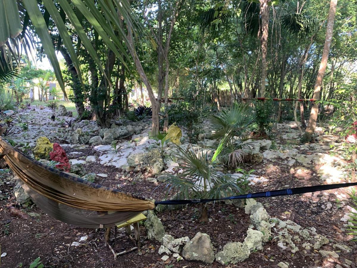 Jam Retreat Negril