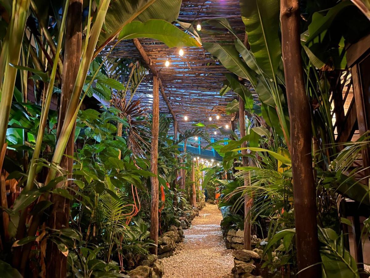 Wild Coffee Retreat 5*