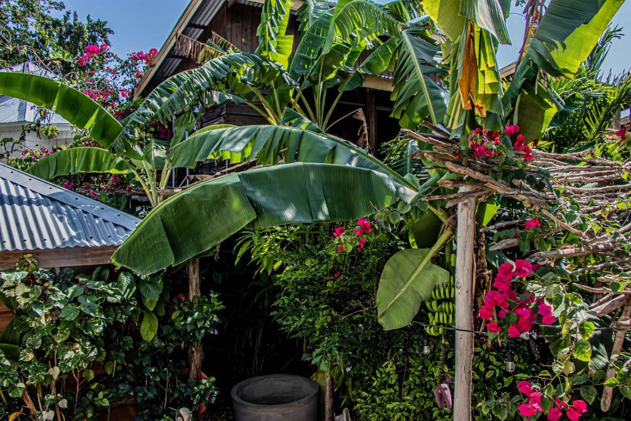 Wild Coffee Retreat Hotel Negril