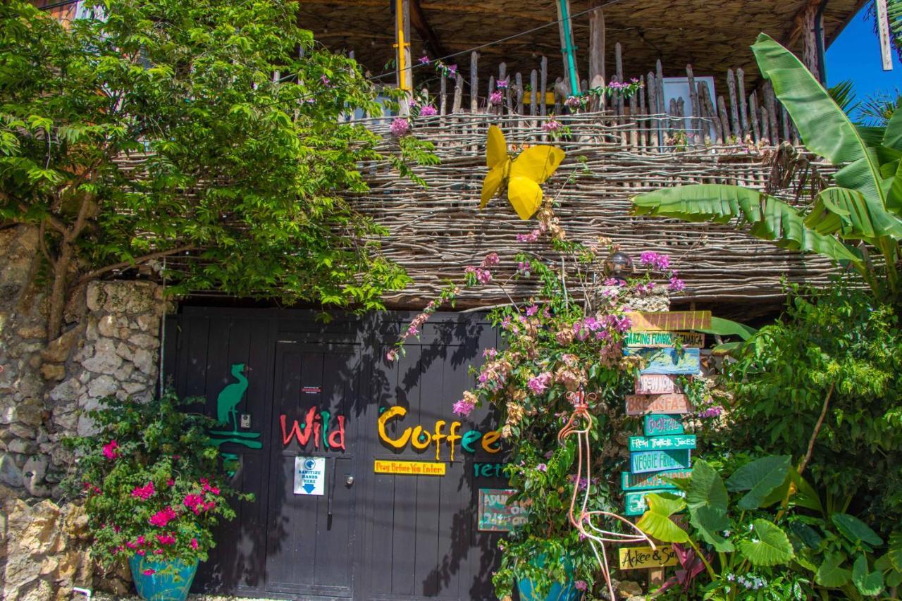 Wild Coffee Retreat