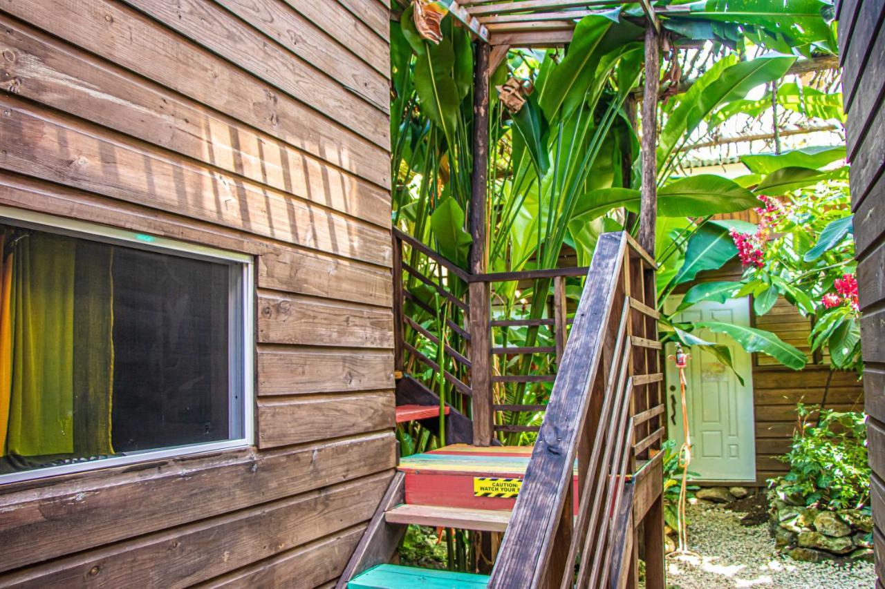 Hotel Wild Coffee Retreat 5*