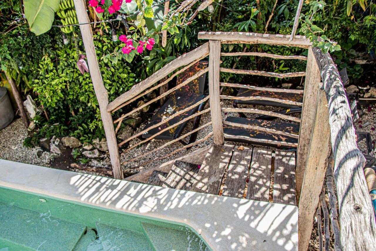 Wild Coffee Retreat Hotel 5*