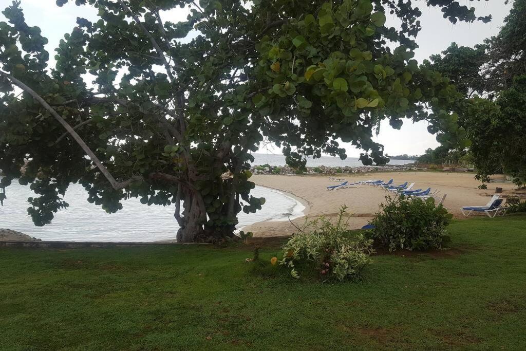 By The Apt. 194 Point Village Apartment Negril