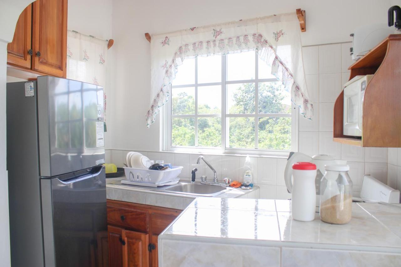Van Villa Guesthouse * Negril