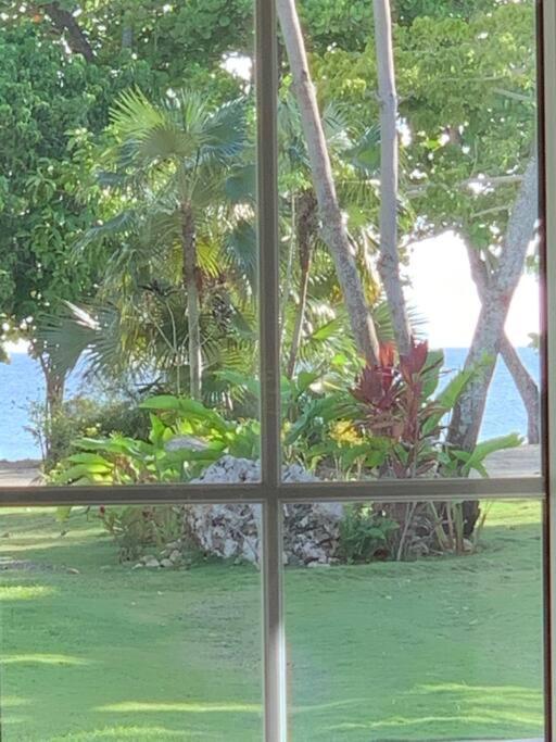 Apartment Irie Vibes By The *