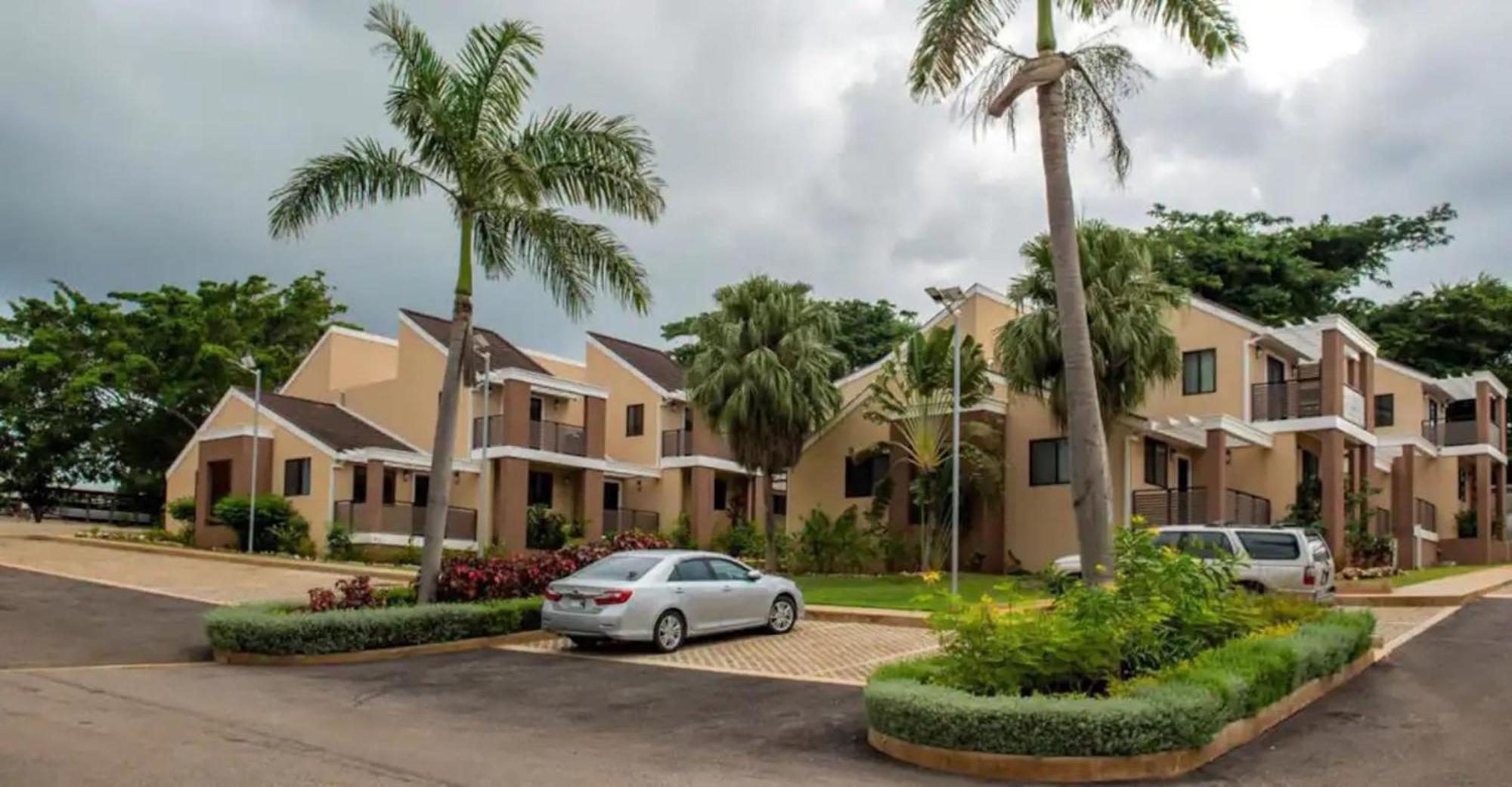 Beautiful 1-bed In Jamaica Apartment