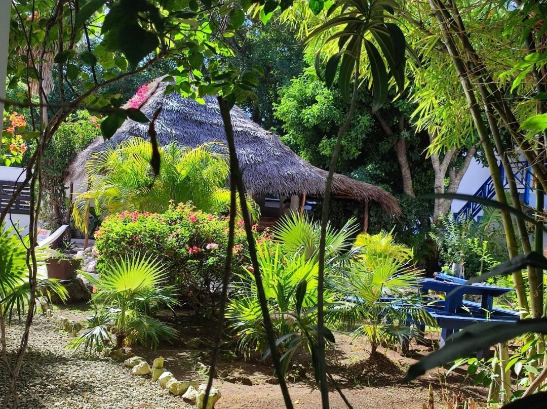 Hotel Ltu Garden 3*