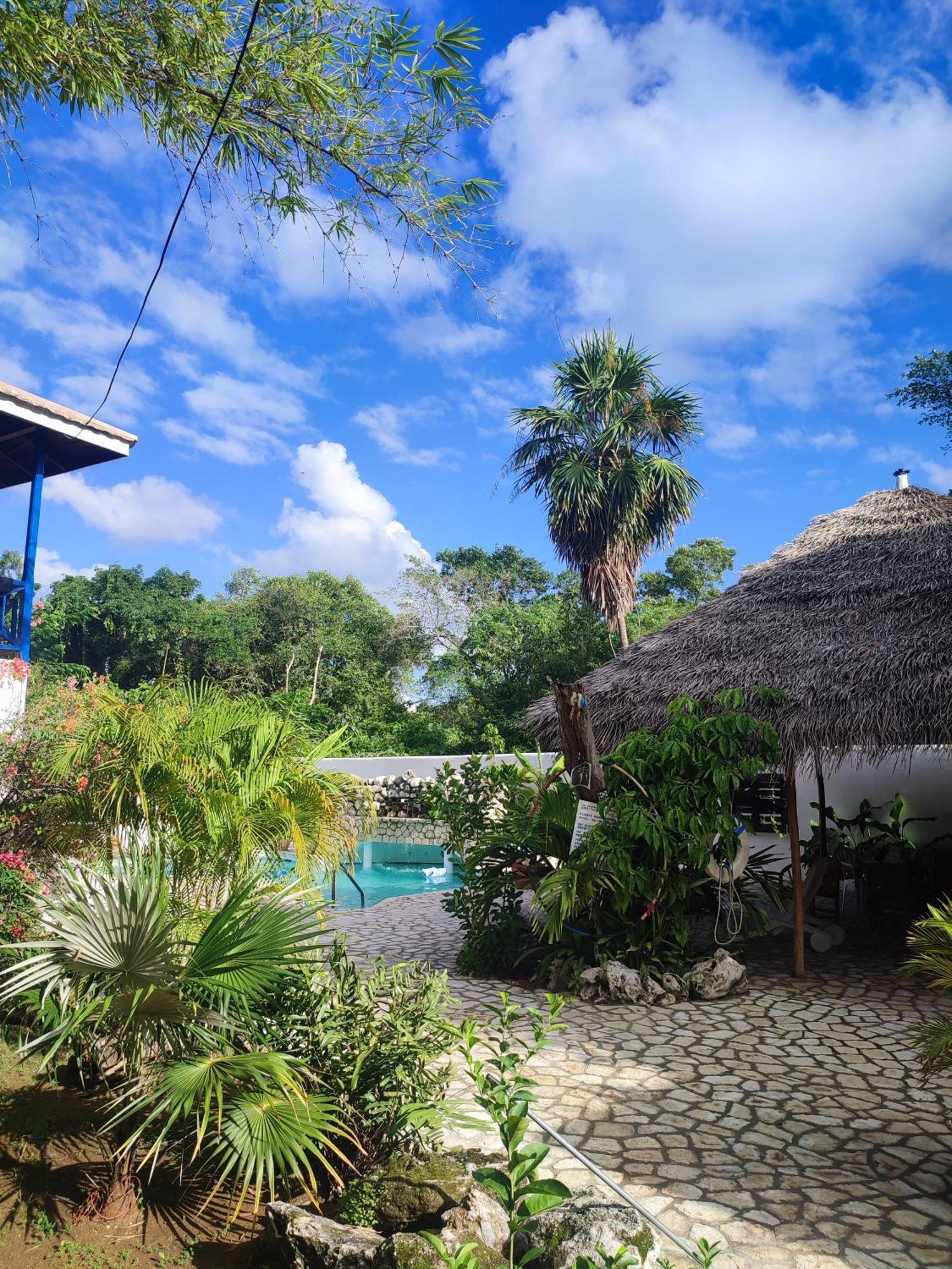 Ltu Garden Negril