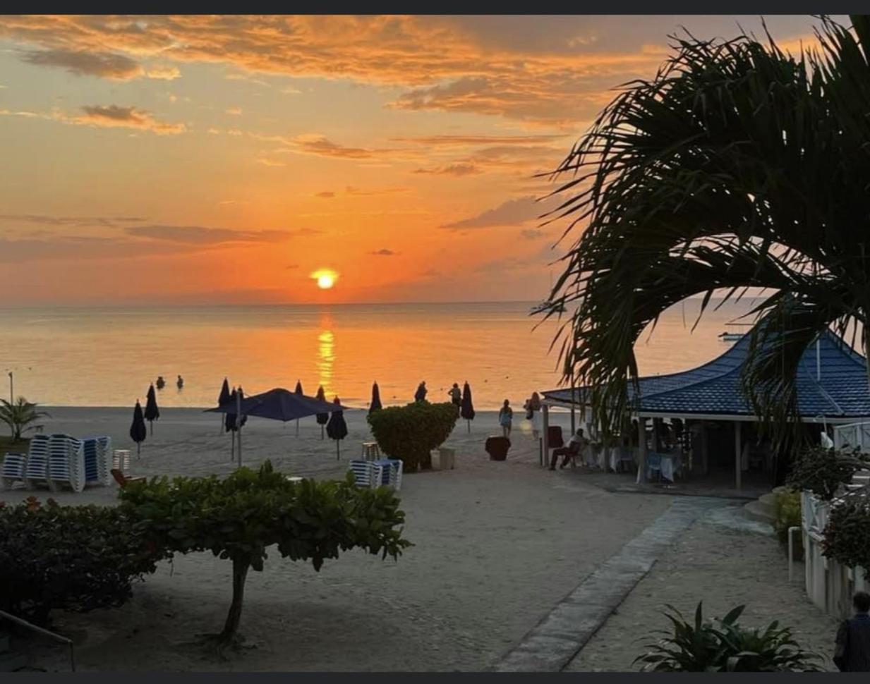 Seacret - Cozy Jamaican Retreat Apts Apartment *