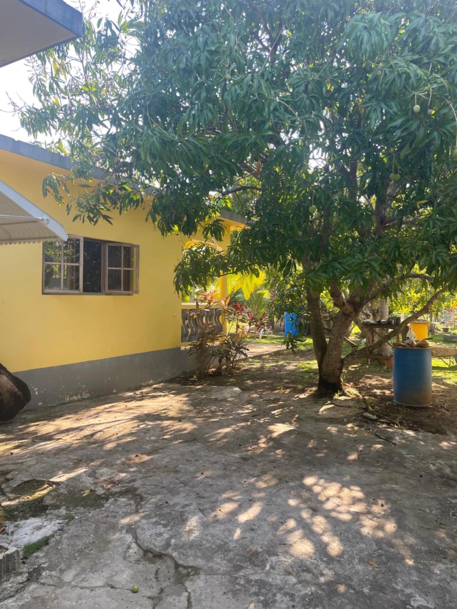 Holiday home R&v Negril