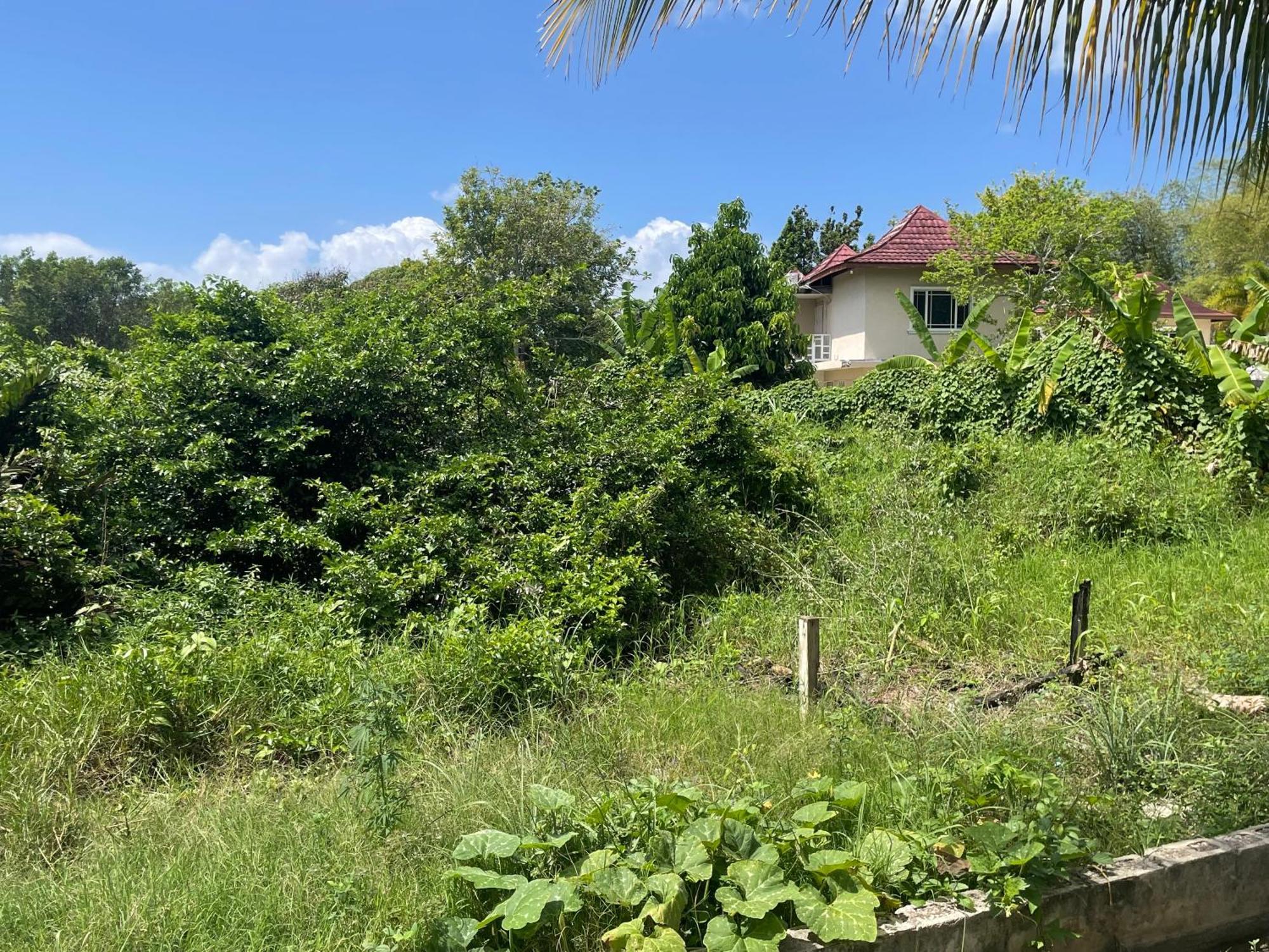 Holiday home R&v Negril