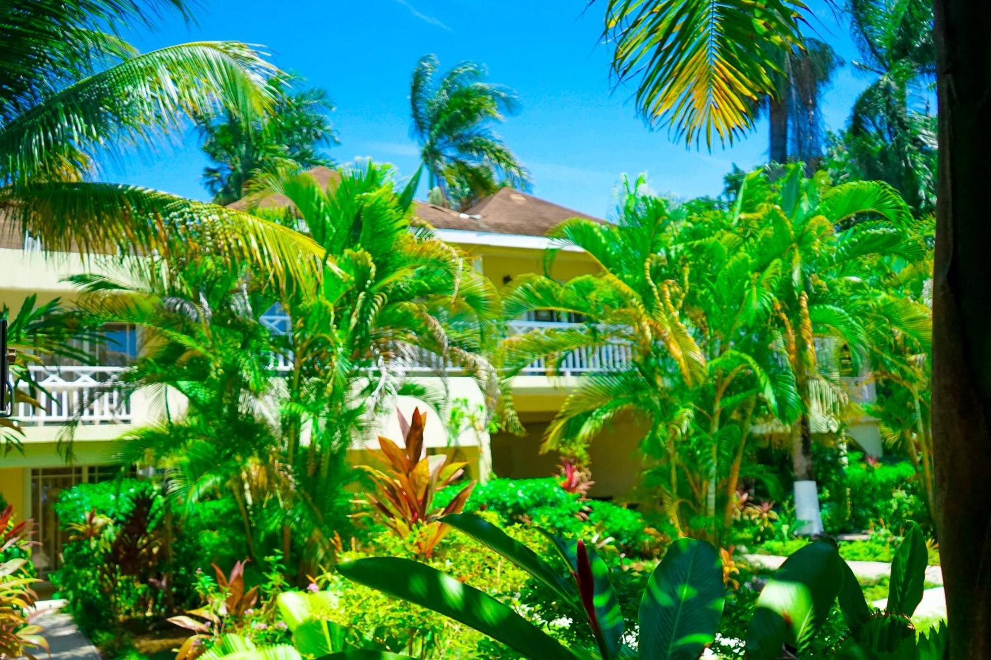 Ayurveda 2* Negril