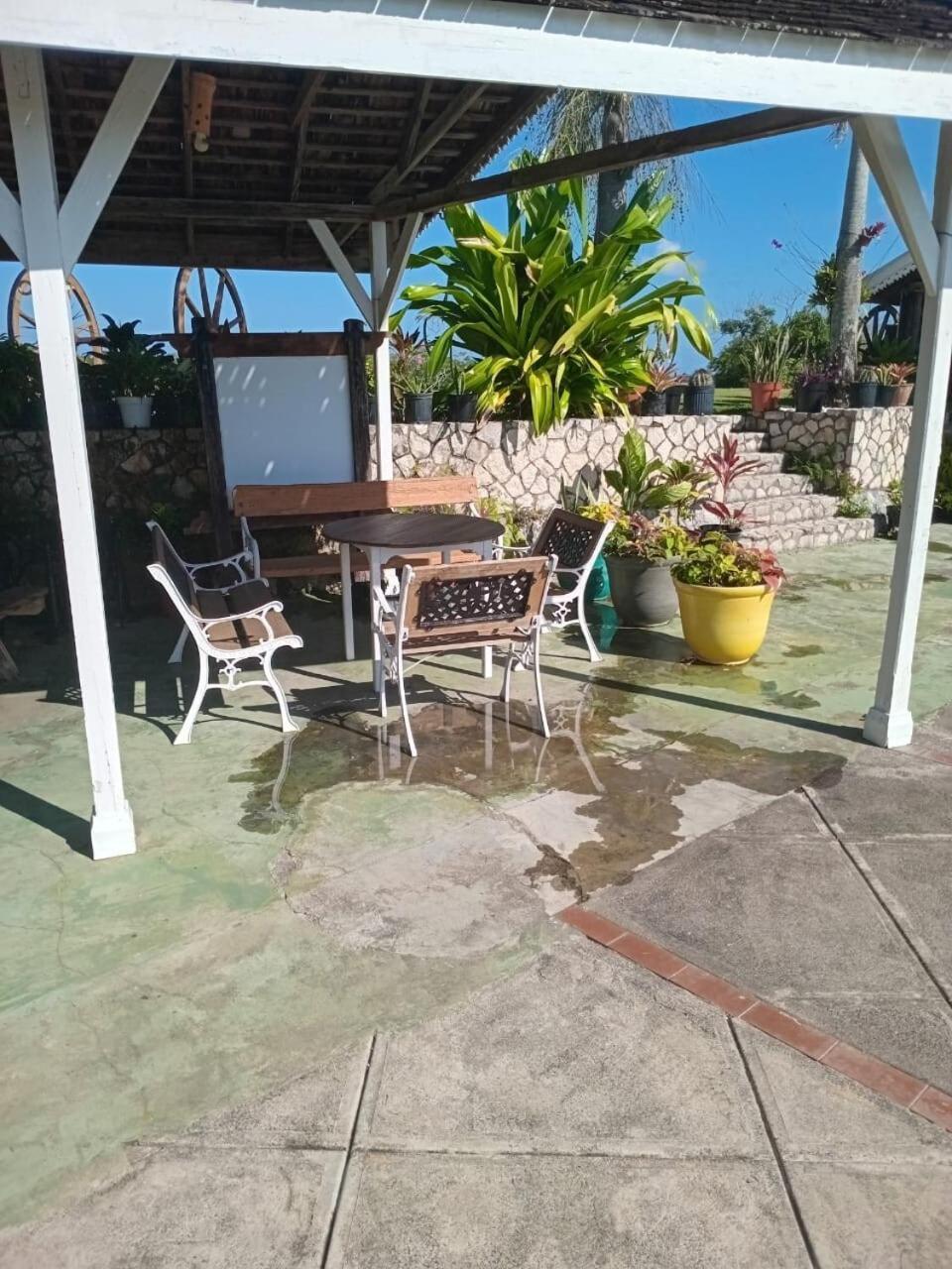 Escape To Parakeethill Villa Negril