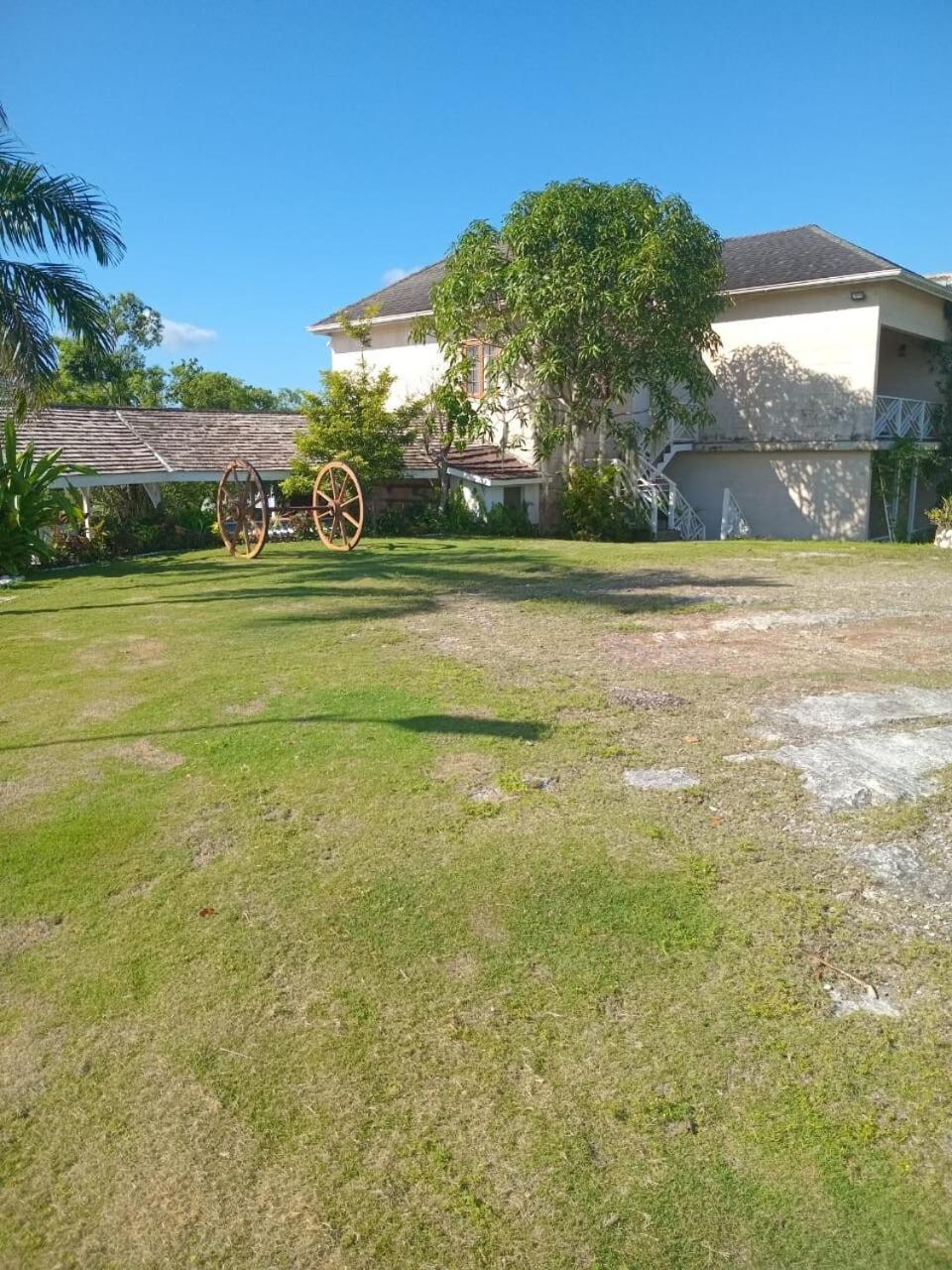 Escape To Parakeethill Villa Negril
