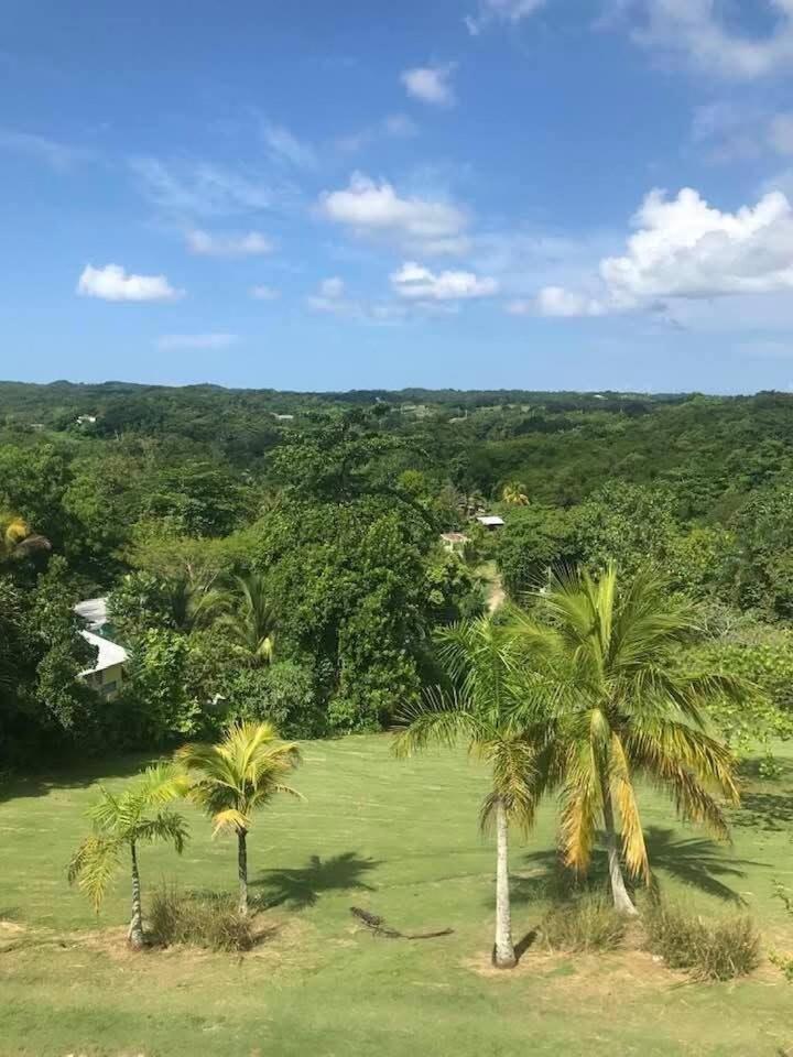 Escape To Parakeethill * Negril